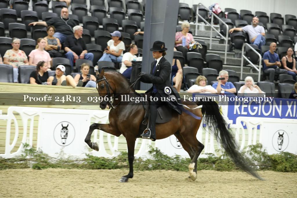 Proof Number 24R13_03961