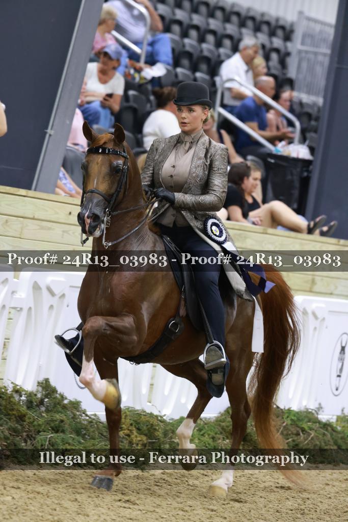 Proof Number 24R13_03983