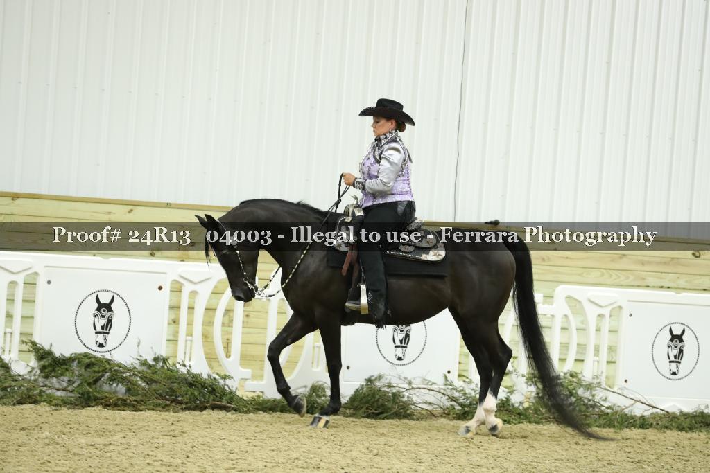 Proof Number 24R13_04003