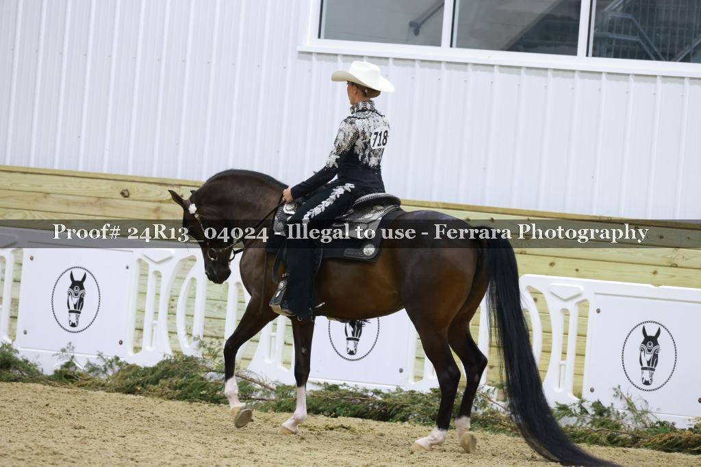 Proof Number 24R13_04024