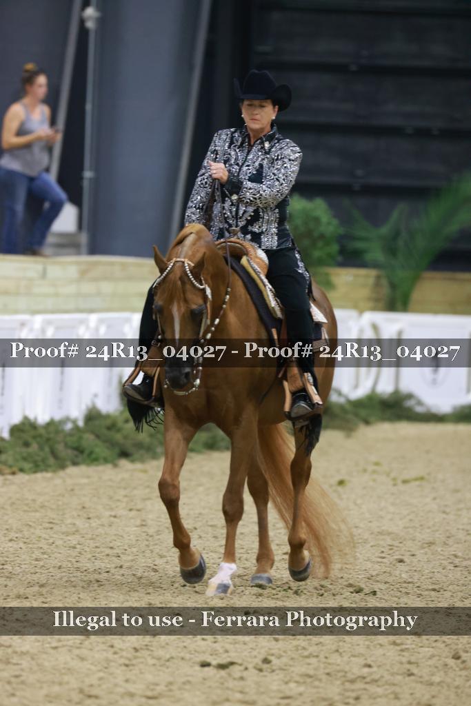 Proof Number 24R13_04027