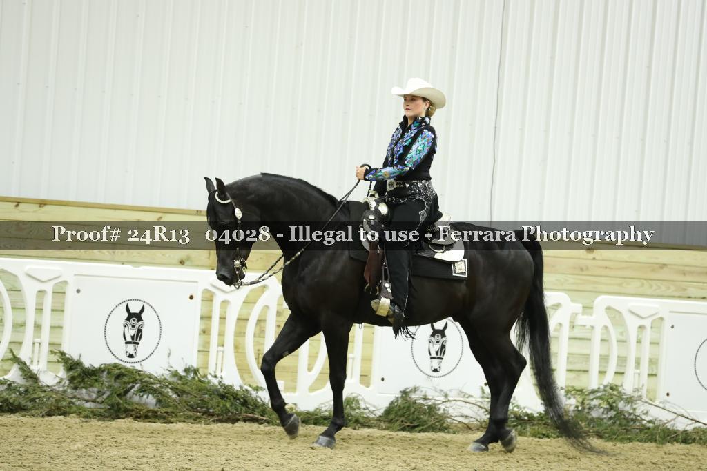 Proof Number 24R13_04028