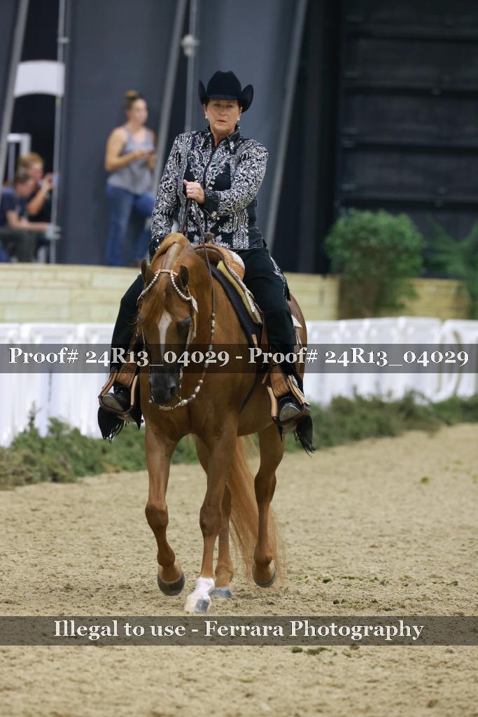 Proof Number 24R13_04029