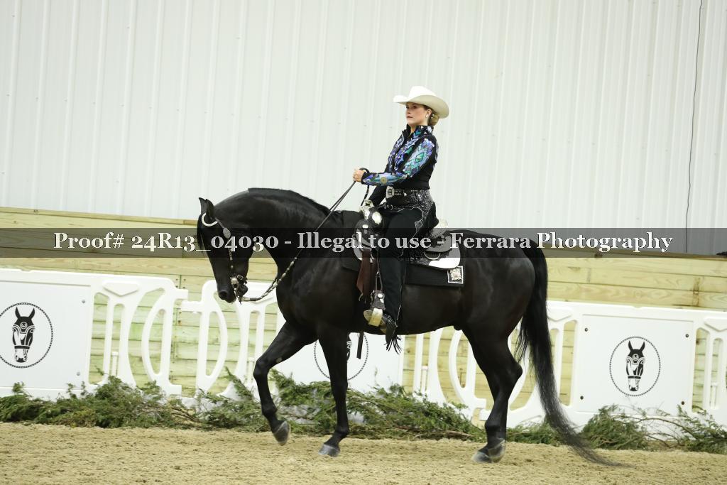 Proof Number 24R13_04030