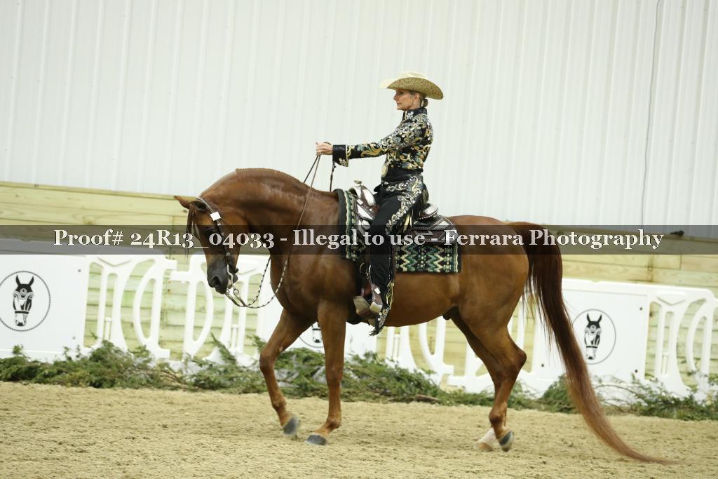 Proof Number 24R13_04033