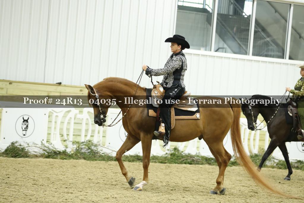 Proof Number 24R13_04035