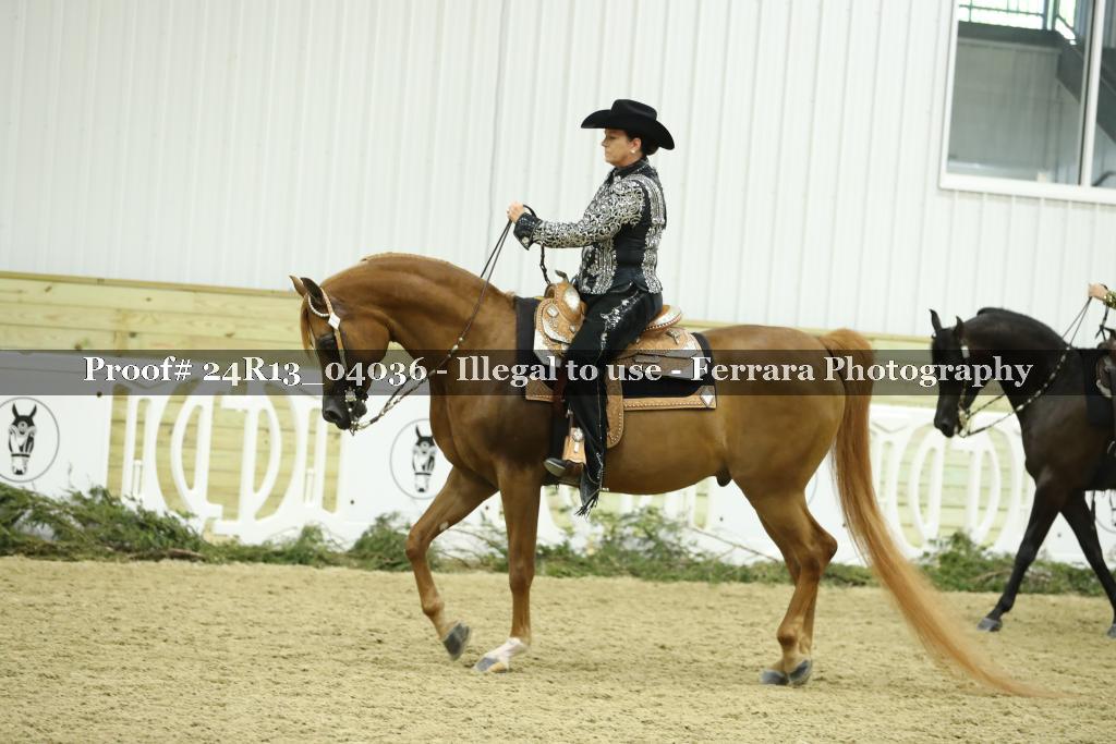 Proof Number 24R13_04036