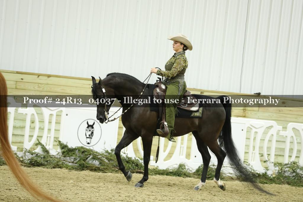 Proof Number 24R13_04037