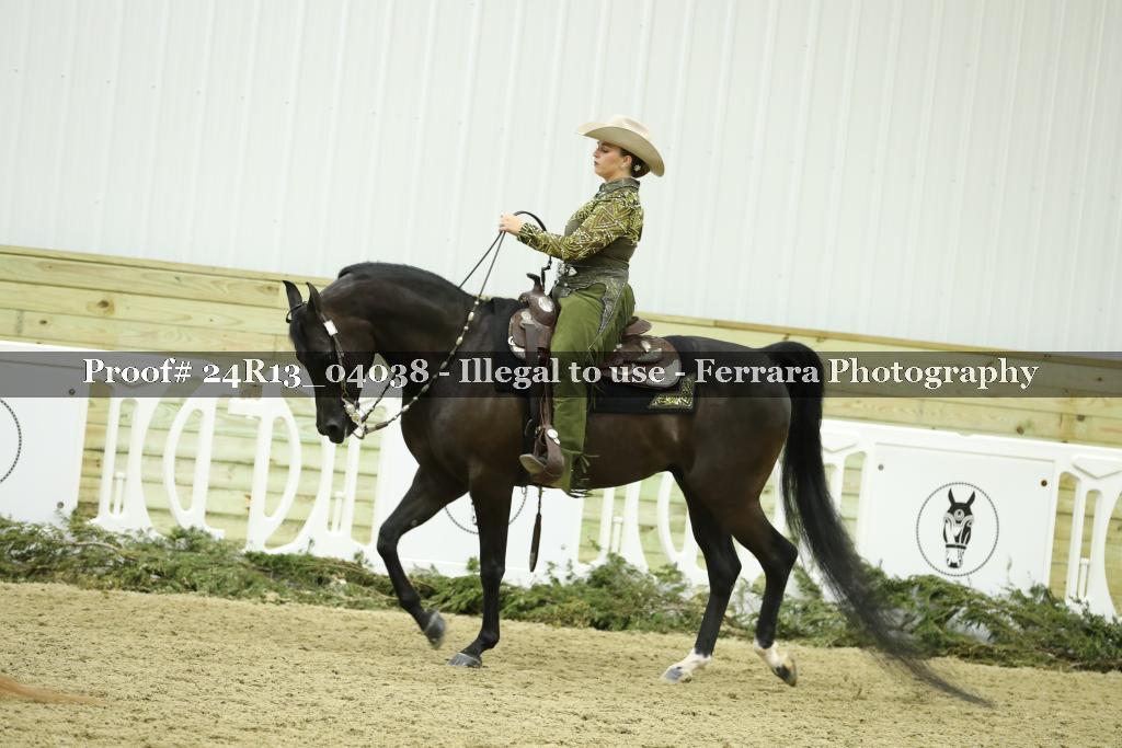 Proof Number 24R13_04038