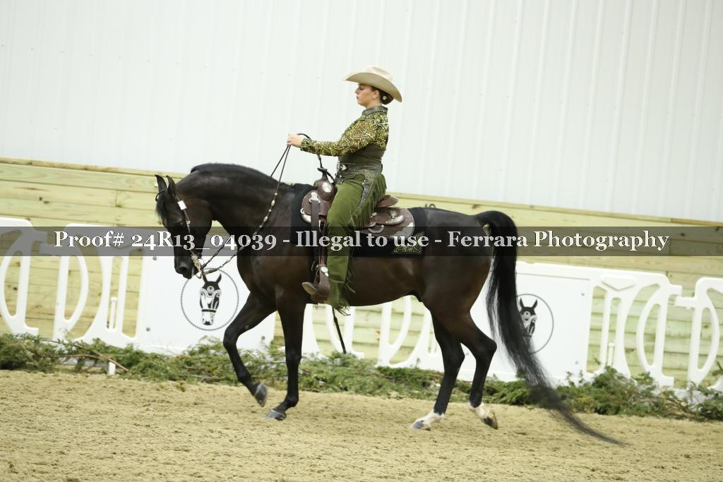 Proof Number 24R13_04039