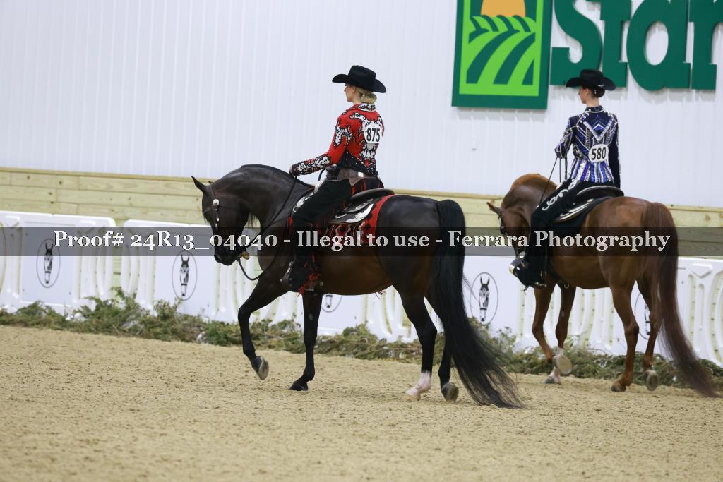 Proof Number 24R13_04040