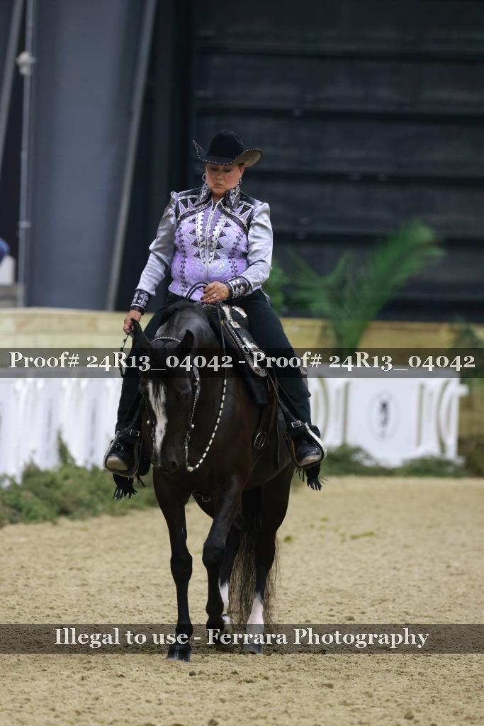 Proof Number 24R13_04042