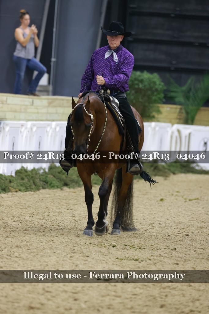 Proof Number 24R13_04046