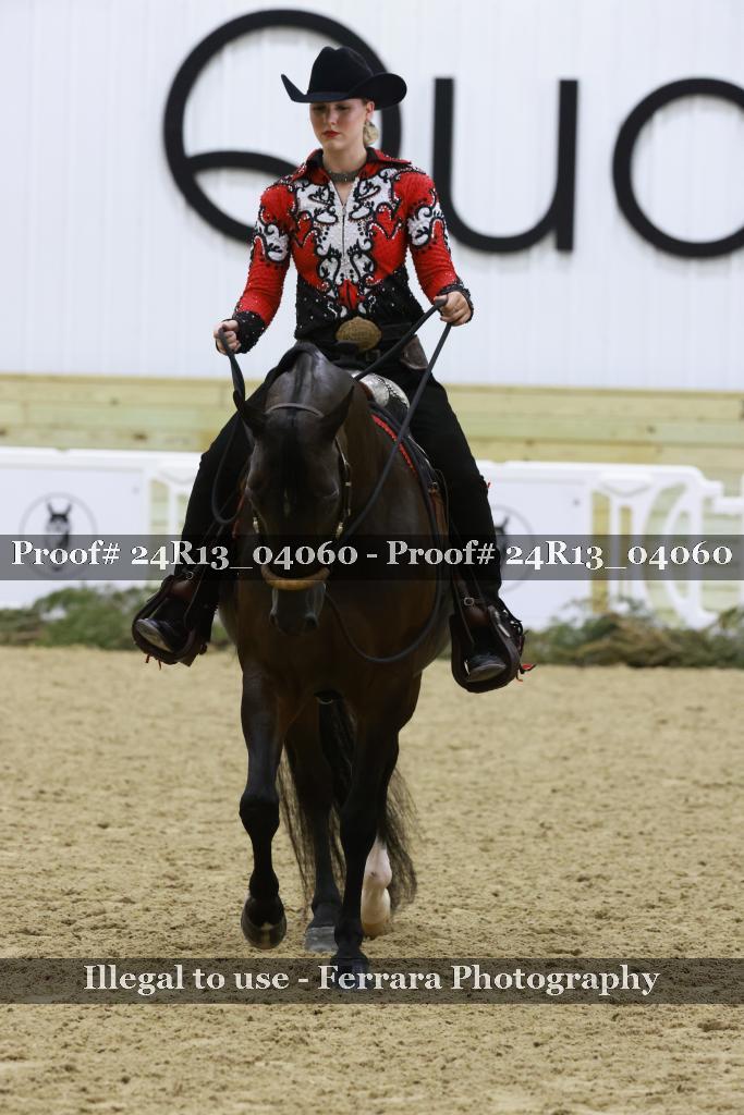 Proof Number 24R13_04060