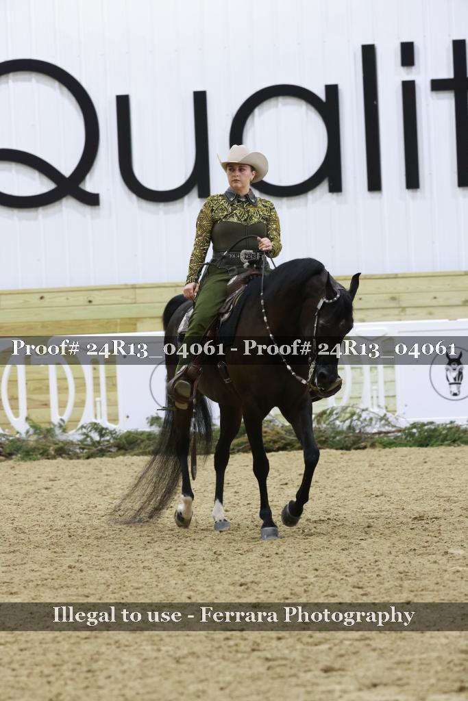 Proof Number 24R13_04061