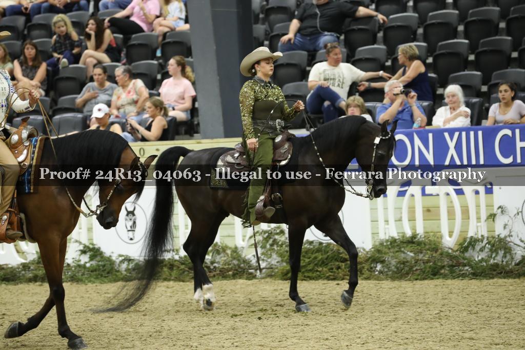 Proof Number 24R13_04063