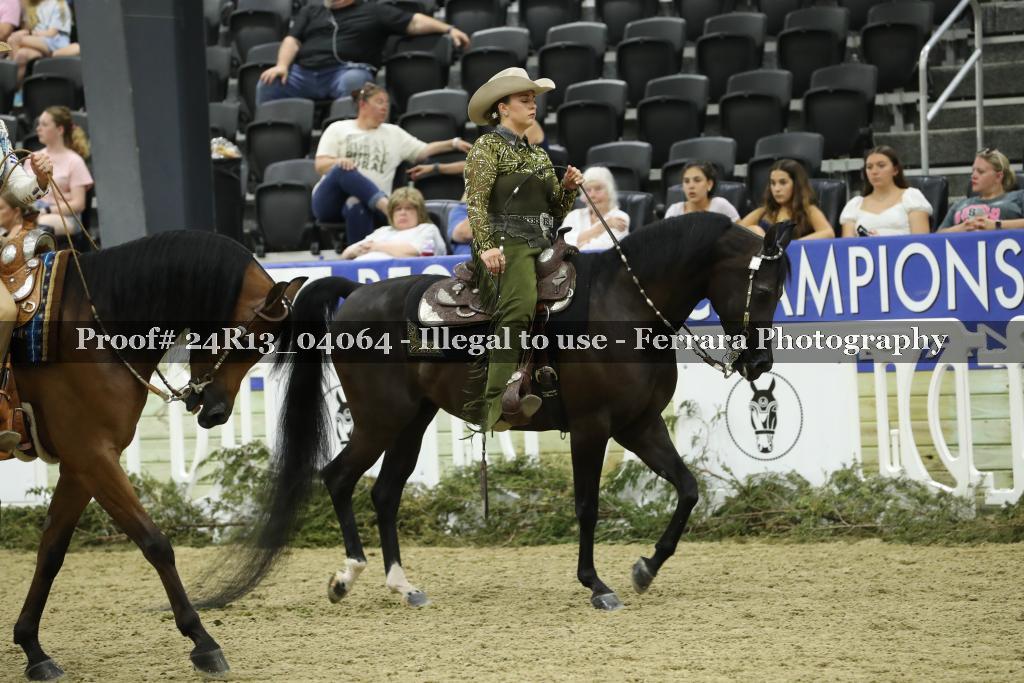 Proof Number 24R13_04064