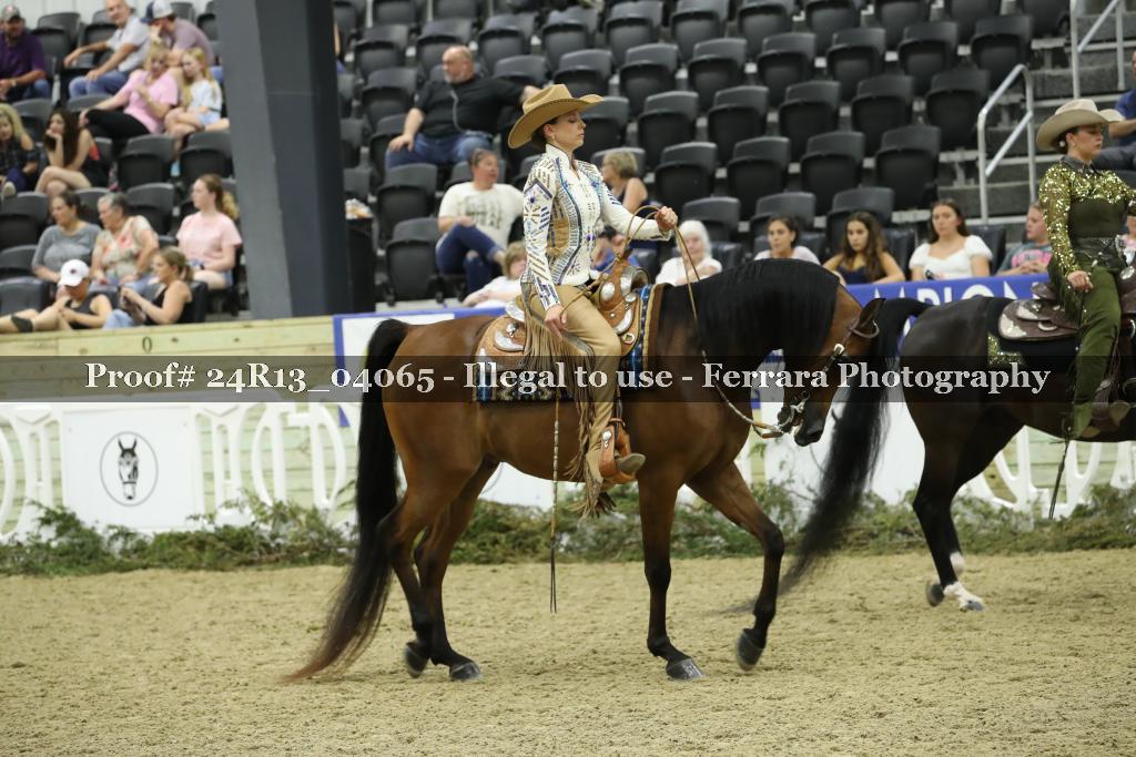 Proof Number 24R13_04065