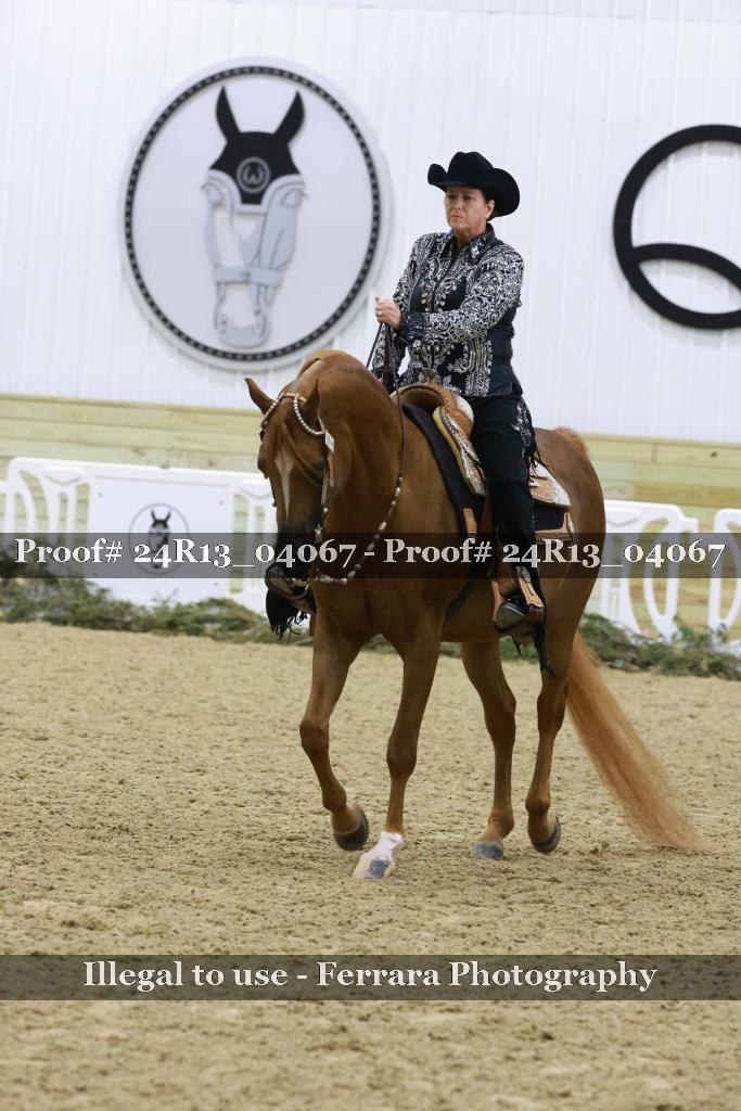 Proof Number 24R13_04067