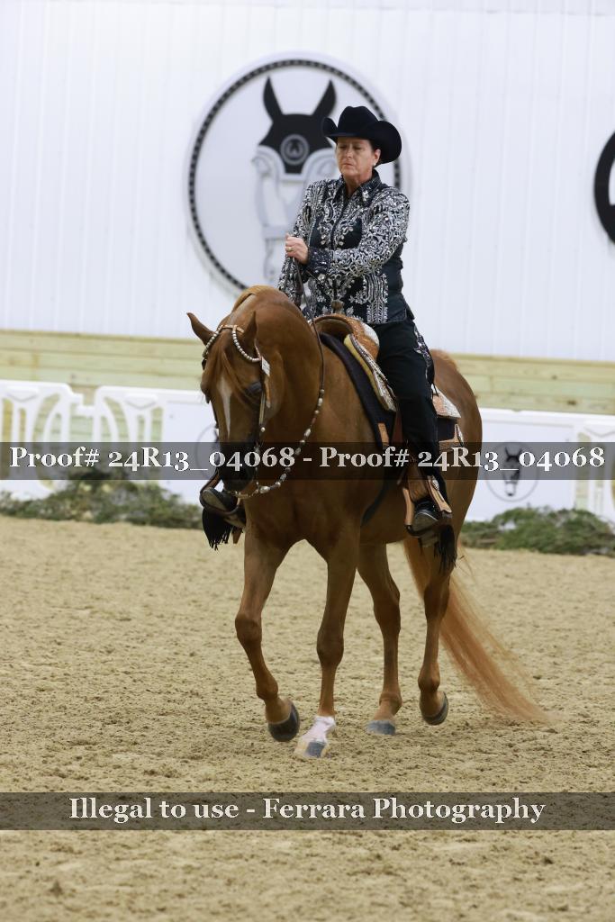 Proof Number 24R13_04068