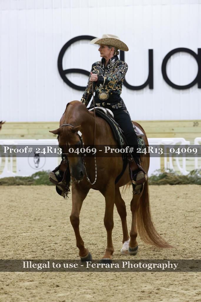 Proof Number 24R13_04069