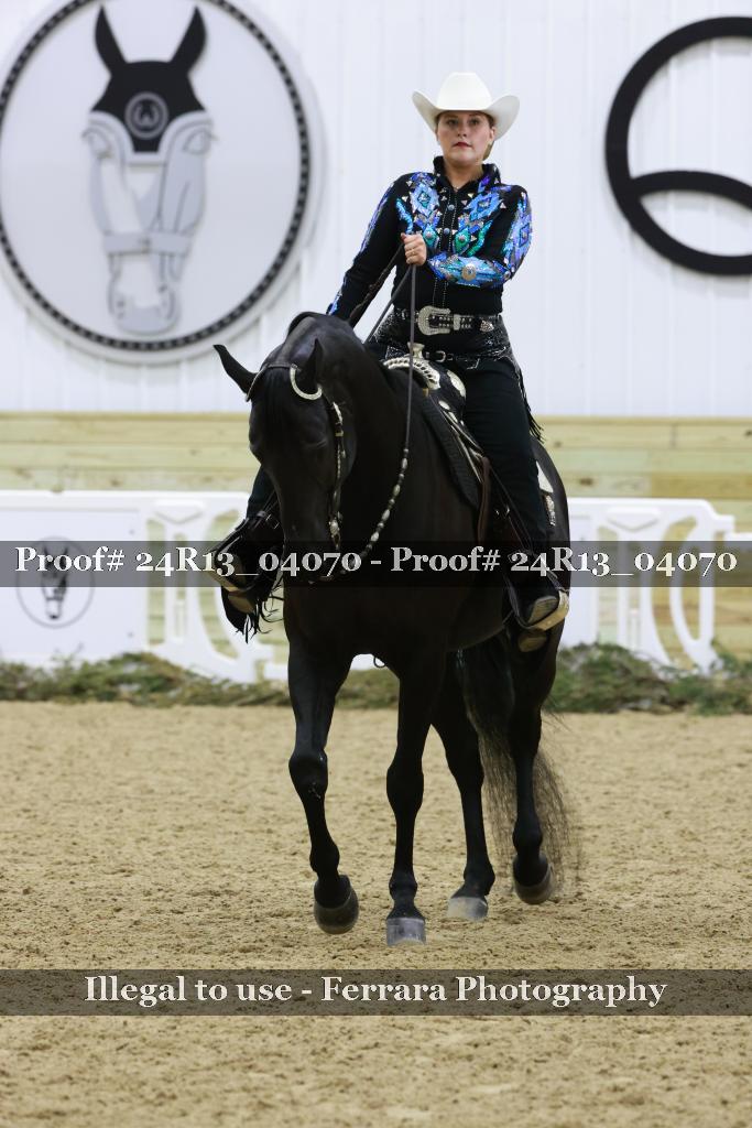 Proof Number 24R13_04070