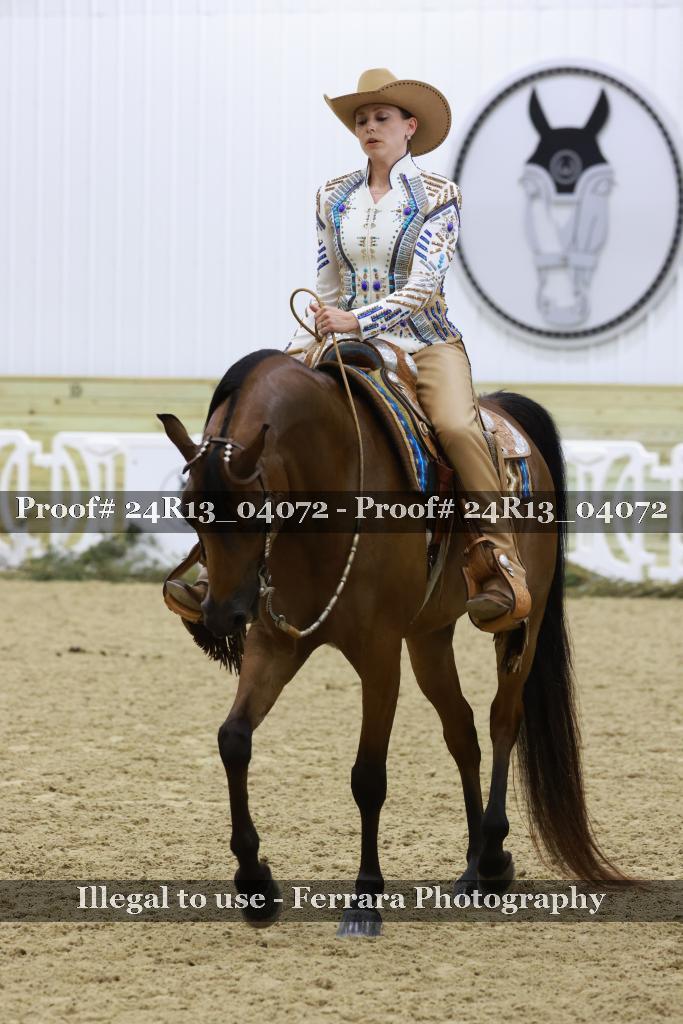 Proof Number 24R13_04072