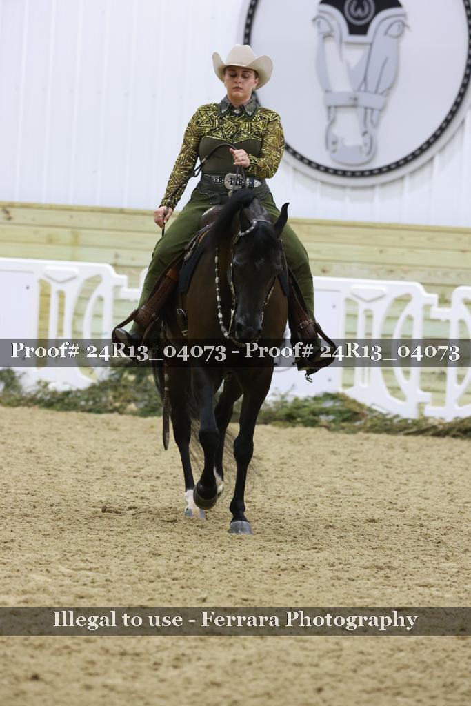 Proof Number 24R13_04073