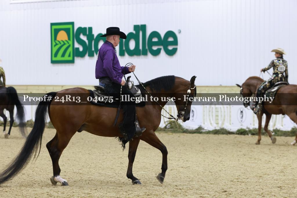 Proof Number 24R13_04075