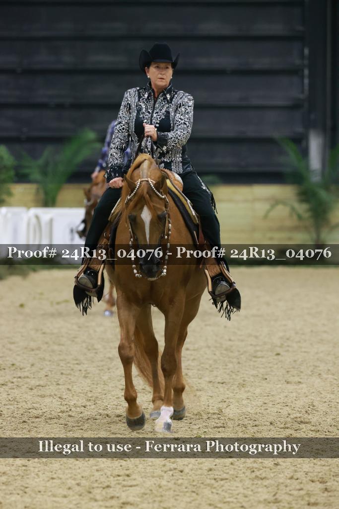 Proof Number 24R13_04076