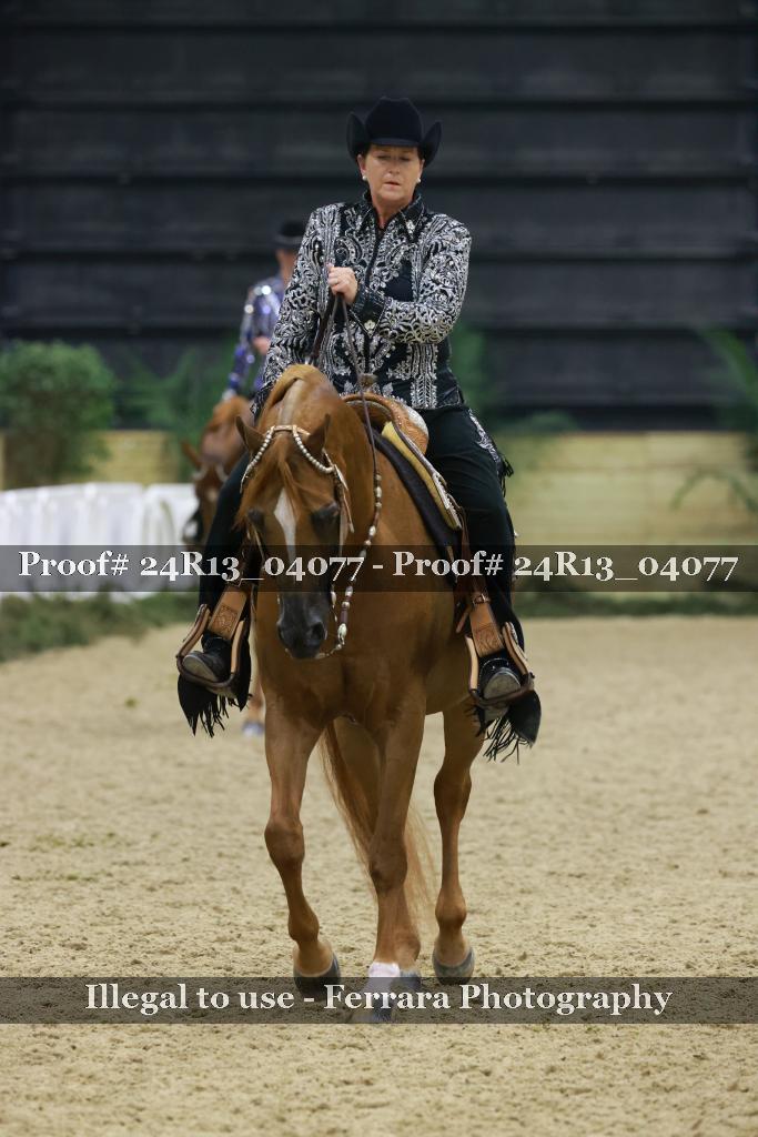 Proof Number 24R13_04077