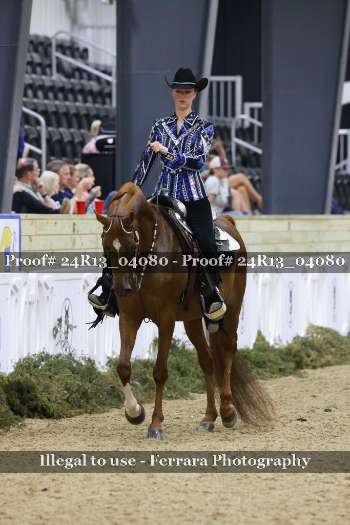 Proof Number 24R13_04080