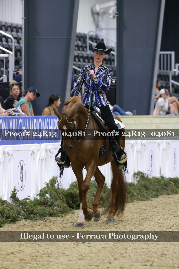 Proof Number 24R13_04081