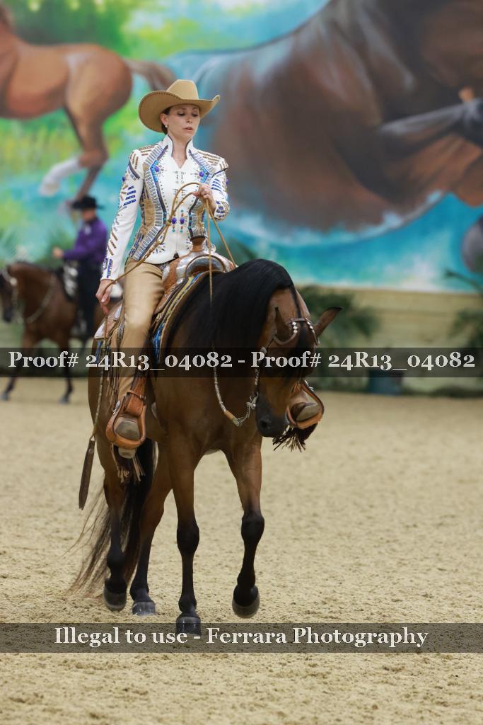 Proof Number 24R13_04082