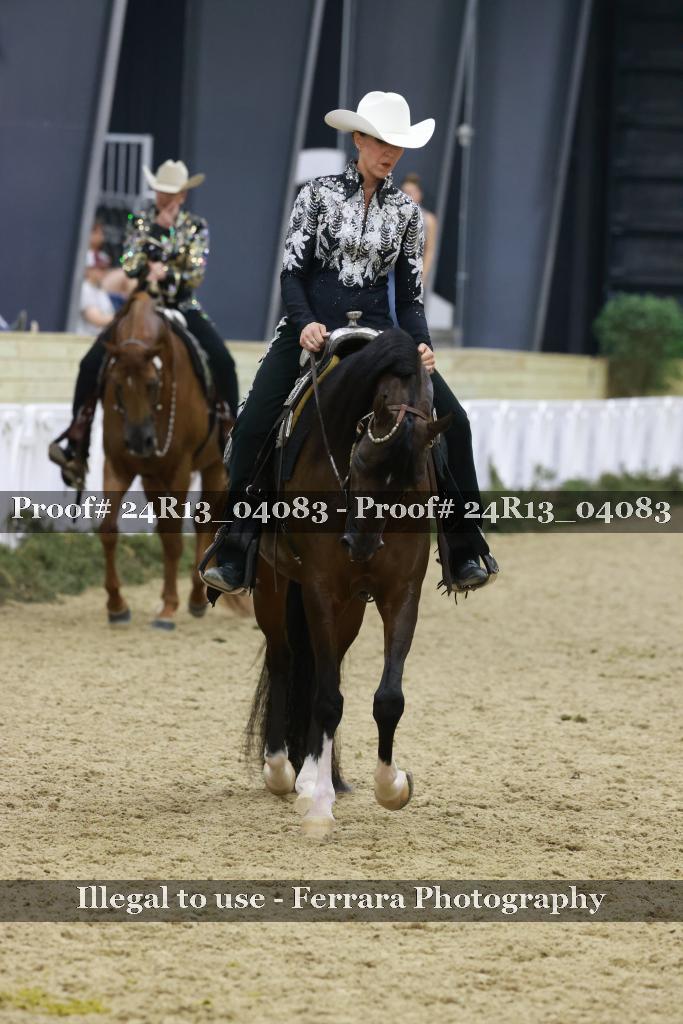 Proof Number 24R13_04083