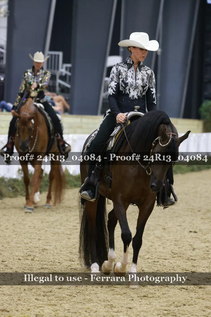 Proof Number 24R13_04084