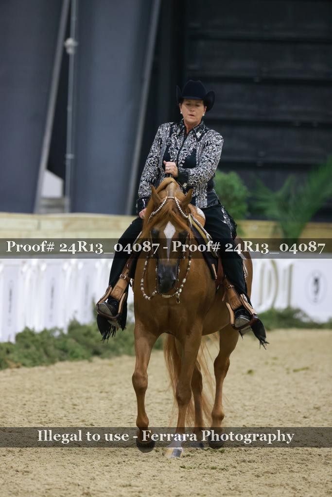 Proof Number 24R13_04087