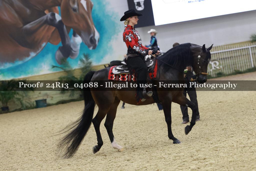 Proof Number 24R13_04088