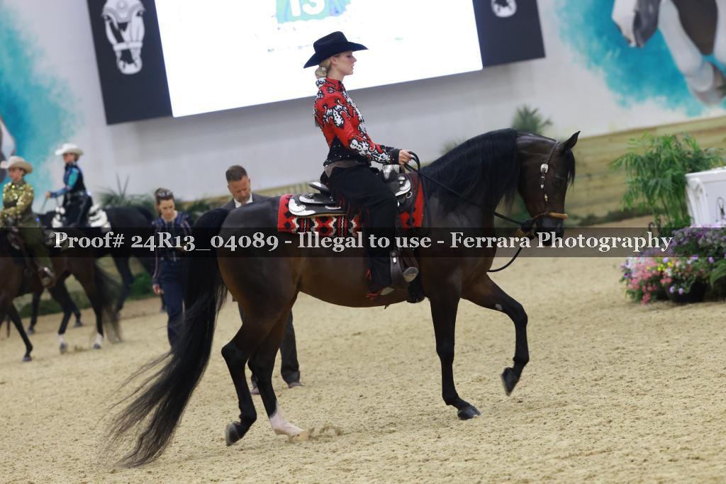 Proof Number 24R13_04089