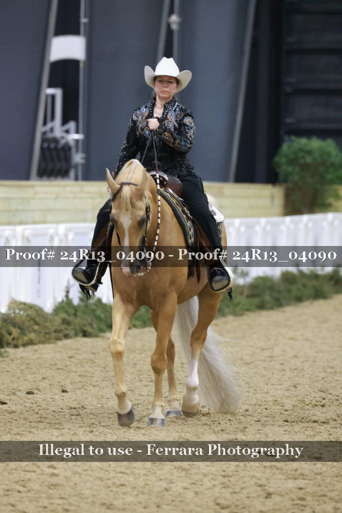 Proof Number 24R13_04090