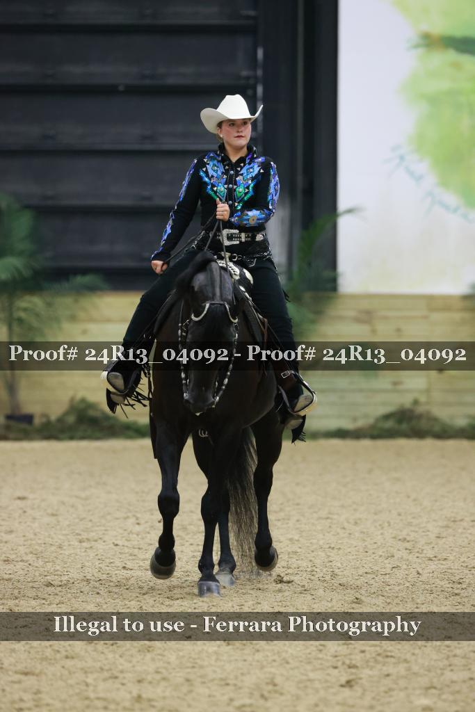 Proof Number 24R13_04092