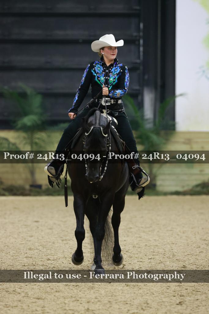 Proof Number 24R13_04094
