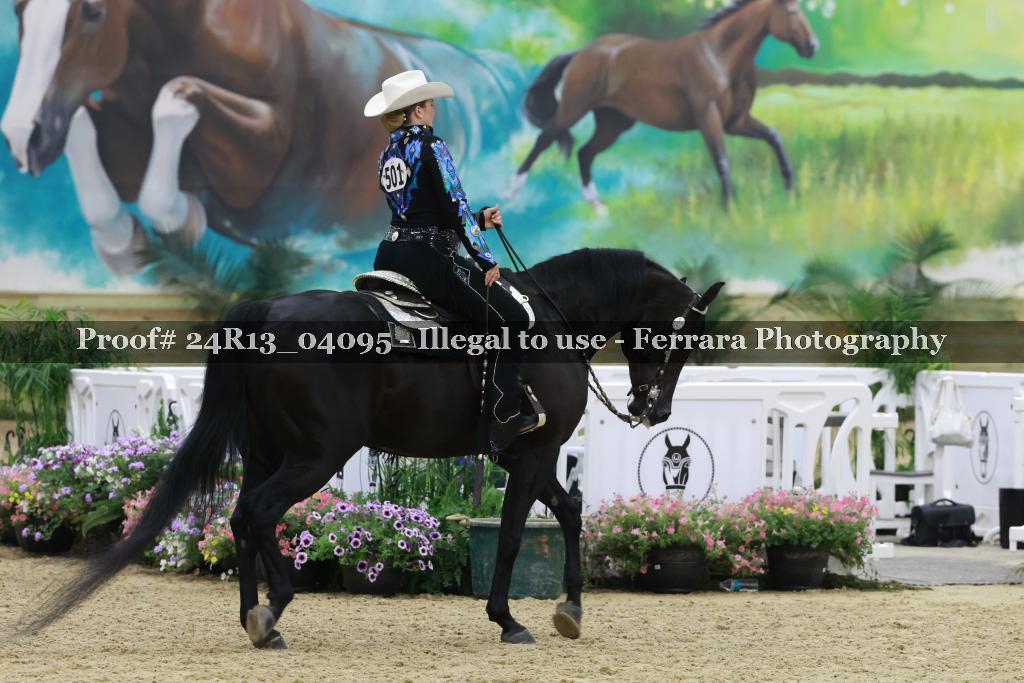 Proof Number 24R13_04095