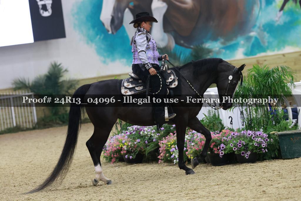 Proof Number 24R13_04096