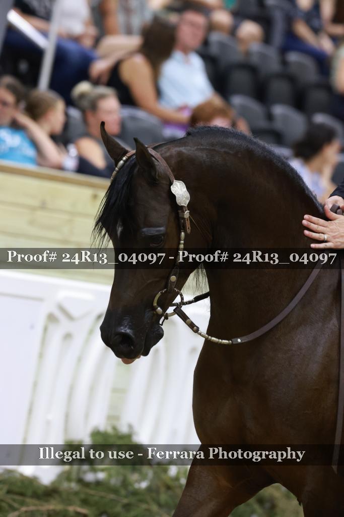 Proof Number 24R13_04097