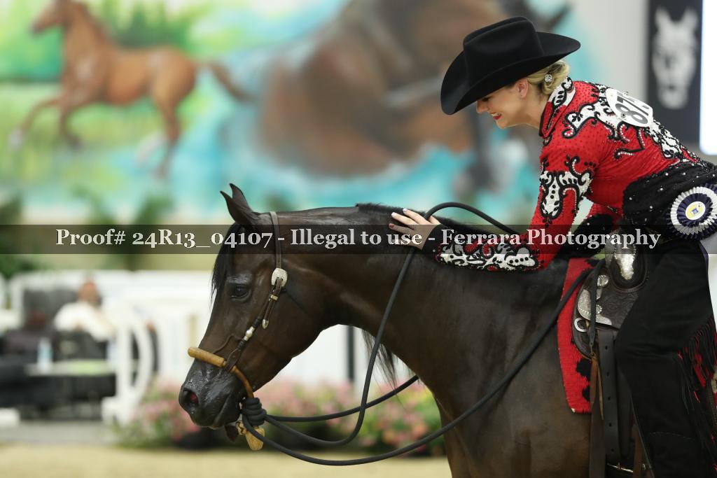 Proof Number 24R13_04107