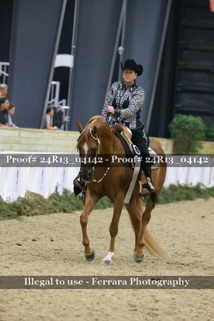 Proof Number 24R13_04142