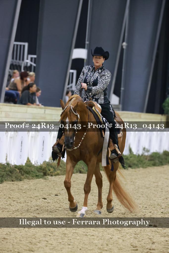 Proof Number 24R13_04143
