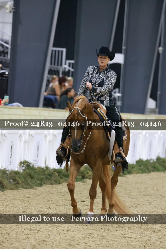 Proof Number 24R13_04146
