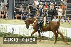 24R13_04152 thumbnail